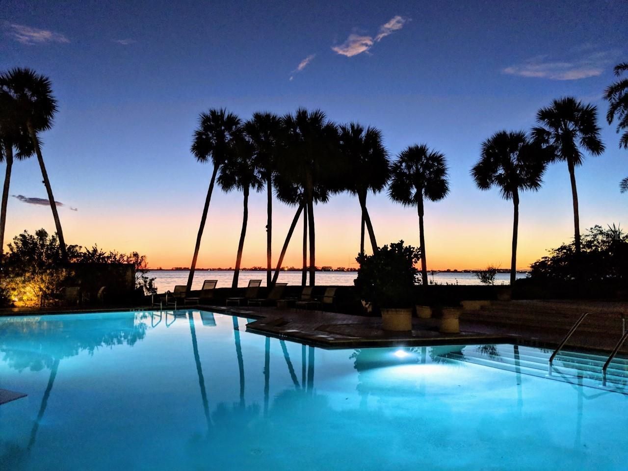 988 Blvd Of The Arts, Unit 115, Sarasota, FL 34236 Photo