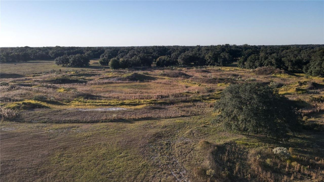 7223 SW 55th Street, Bushnell, FL 33513 Photo