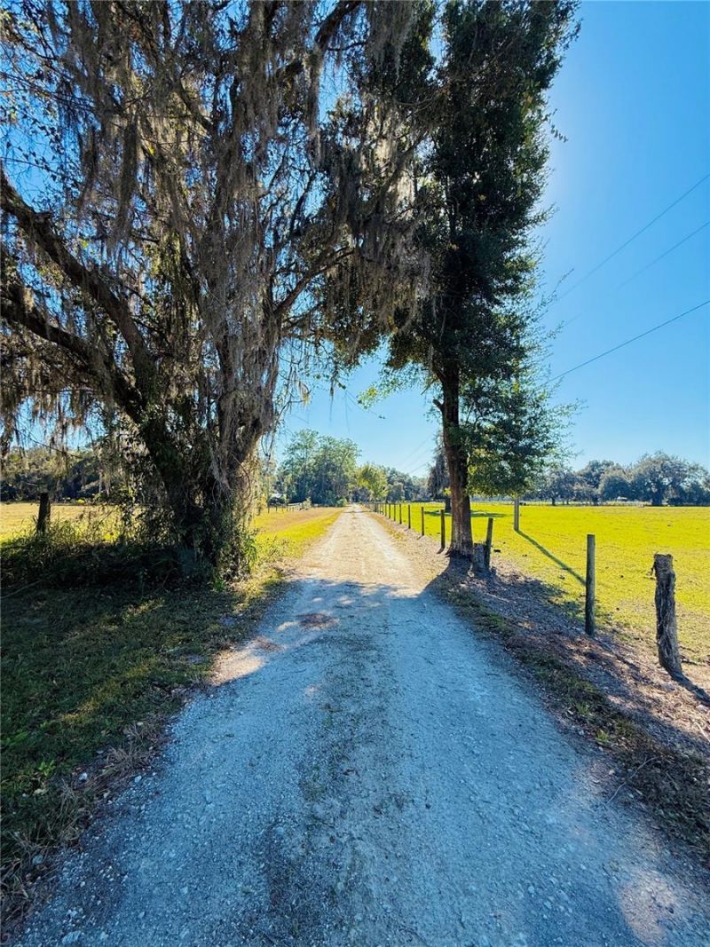 7223 SW 55th Street, Bushnell, FL 33513 Photo