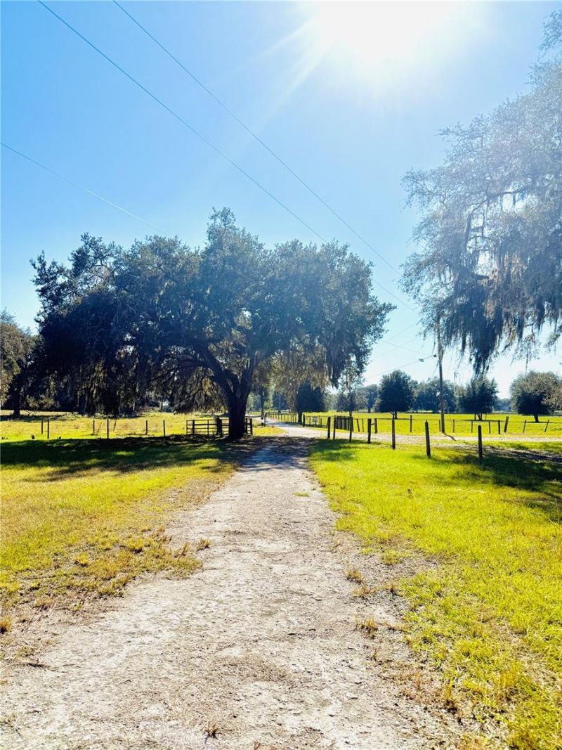 7223 SW 55th Street, Bushnell, FL 33513 Photo