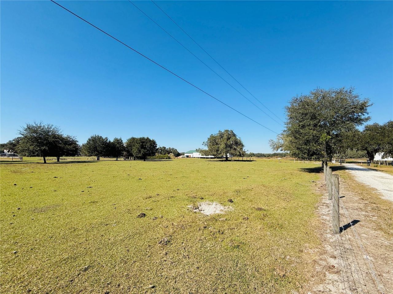 7223 SW 55th Street, Bushnell, FL 33513 Photo