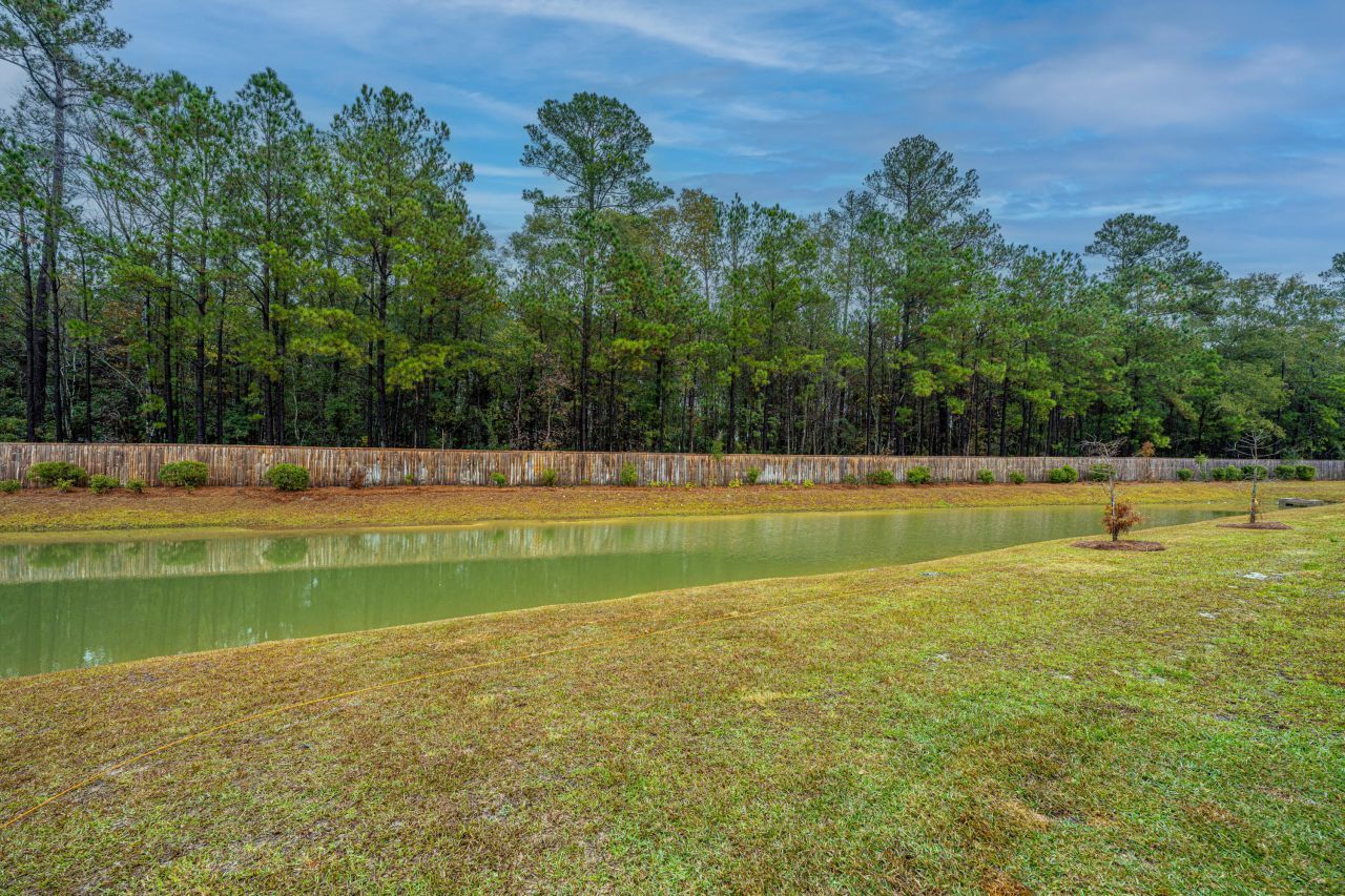 1201 Scarlett Maple Street Photo 4