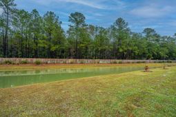 1201 Scarlett Maple Street photo 4