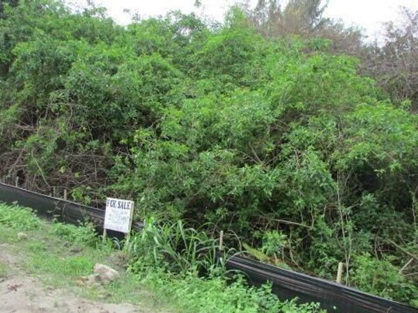 16750 SW Conners Highway, Okeechobee, FL 34974