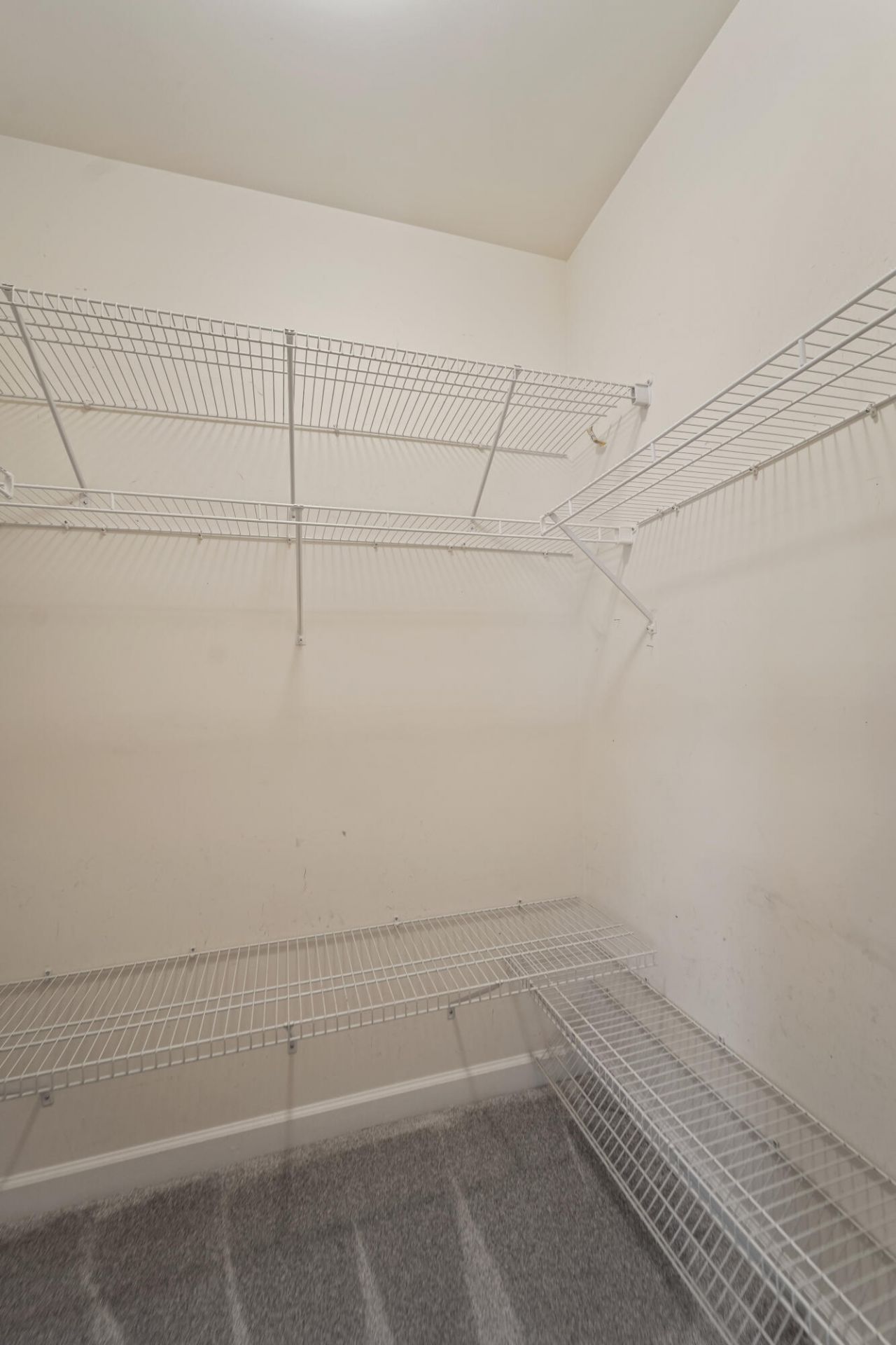 805 E Marymont Lane Photo 20