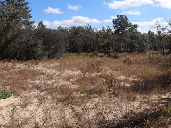 9097 N PEEWEE POINT, DUNNELLON, FL 34433