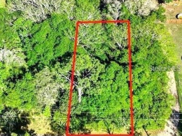 44126 SPRING CREEK ROAD, PAISLEY, FL 32767