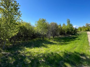 Lot 4 - TBD 330th Street, Warroad, MN 56763