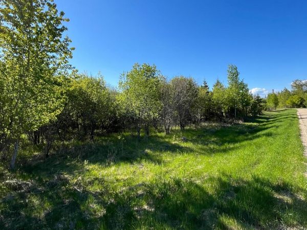 Lot 4 - TBD 330th Street, Warroad, MN 56763