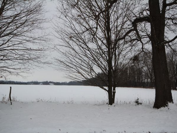 8016 E Xy Avenue, Vicksburg, MI 49097