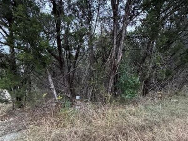 1013 Comanche Cove Drive , Granbury, TX 76048