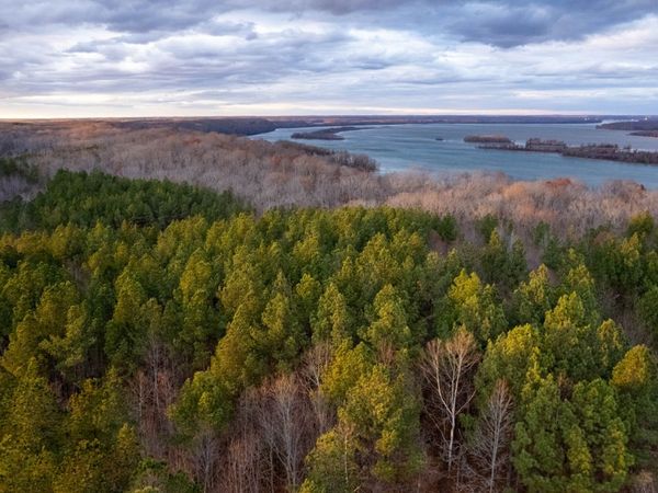 0 Birdsong Rd, Holladay, TN 38341