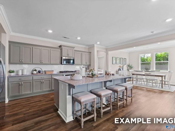 8121 Goose Ridge Drive, Owens Cross Roads, AL 35763