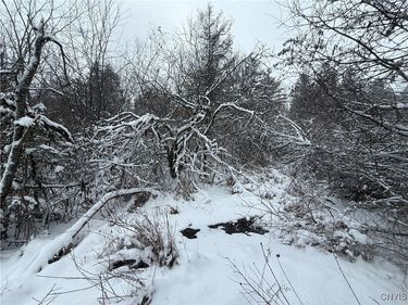 Eddy Road, Theresa, NY 13691