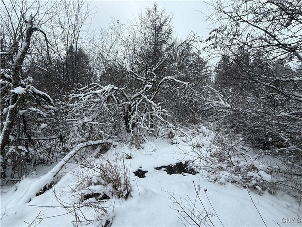 Eddy Road, Theresa, NY 13691