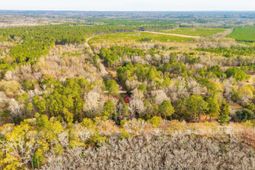 5552 Bluff Road  photo 4