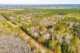 5552 Bluff Road photo 4