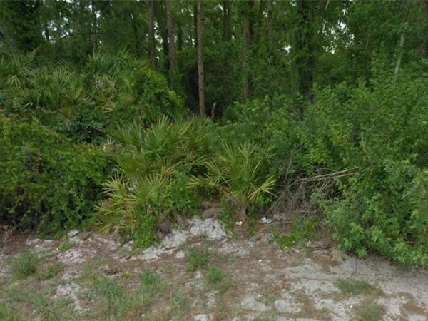 200 HARMONY COURT, LAKE PLACID, FL 33852