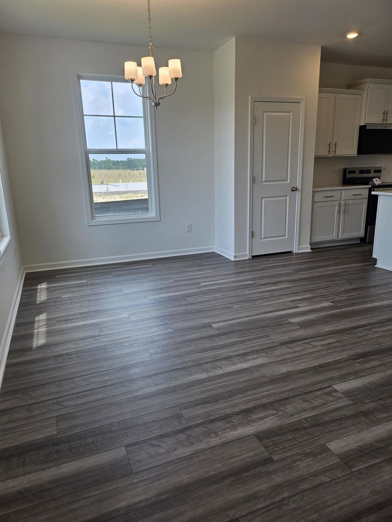 170 River Birch Dr. Photo 10