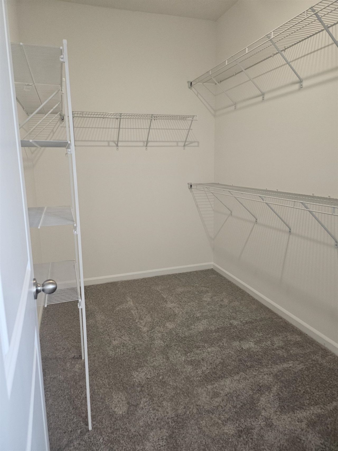 170 River Birch Dr. Photo 16