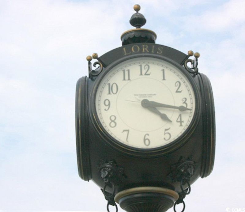 170 River Birch Dr. Photo 17