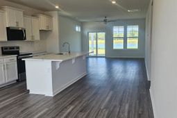 170 River Birch Dr. photo 4