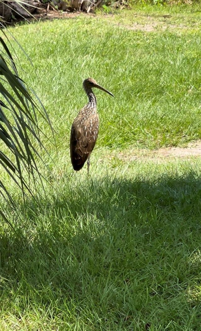 5915 Avenue F, Mc Intosh, FL 32664 Photo