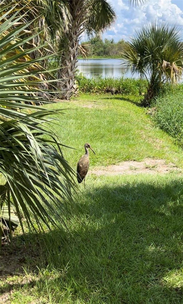 5915 Avenue F, Mc Intosh, FL 32664 Photo