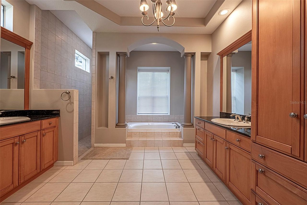 3716 Janus Way, Palm Harbor, FL 34685 Photo