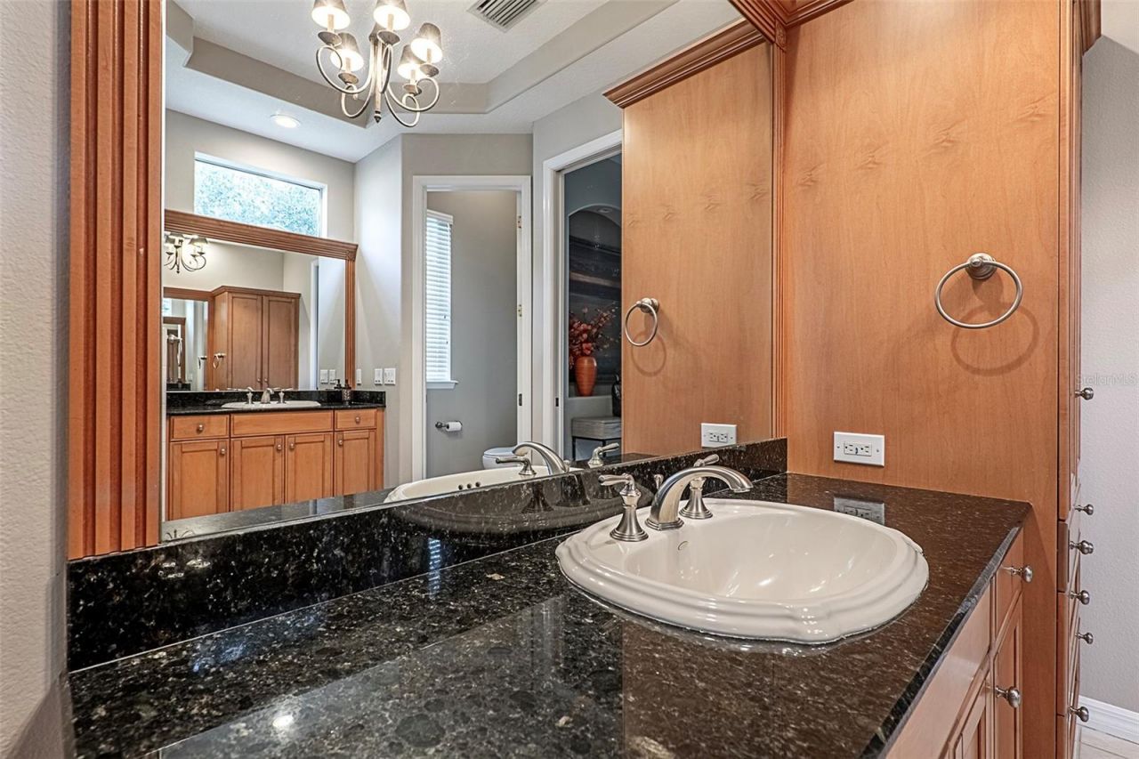 3716 Janus Way, Palm Harbor, FL 34685 Photo