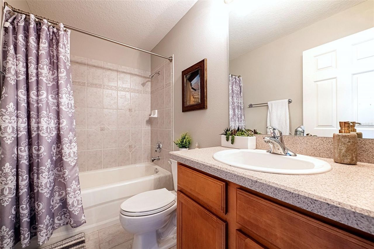 3716 Janus Way, Palm Harbor, FL 34685 Photo