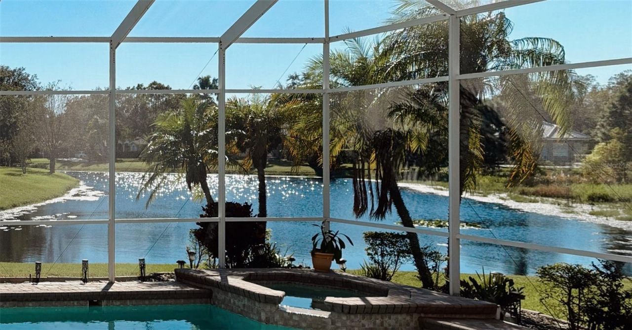 3716 Janus Way, Palm Harbor, FL 34685 Photo