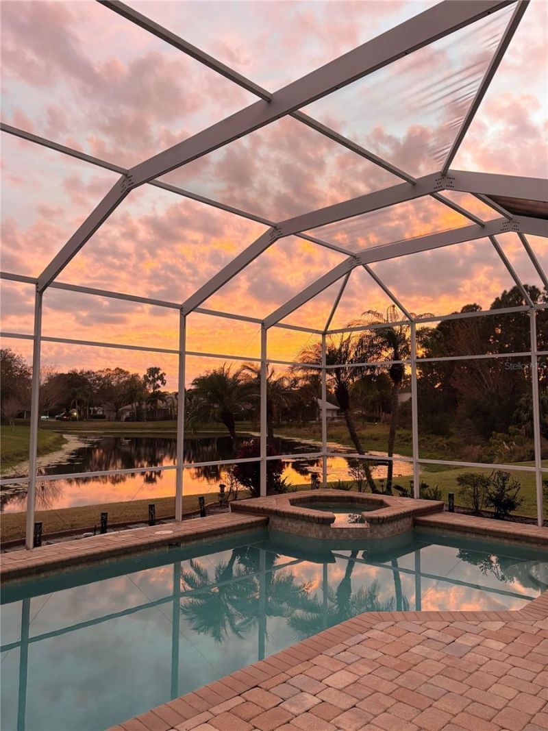 3716 Janus Way, Palm Harbor, FL 34685 Photo