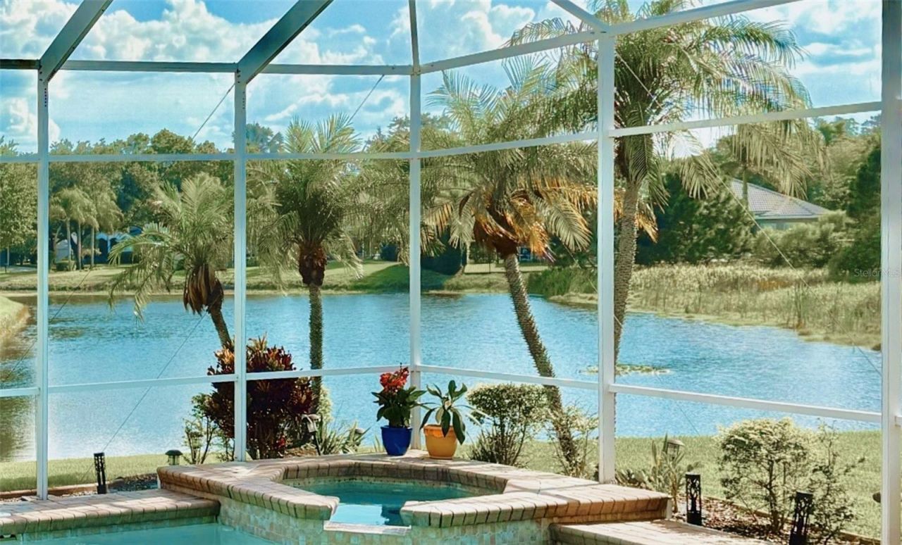 3716 Janus Way, Palm Harbor, FL 34685 Photo