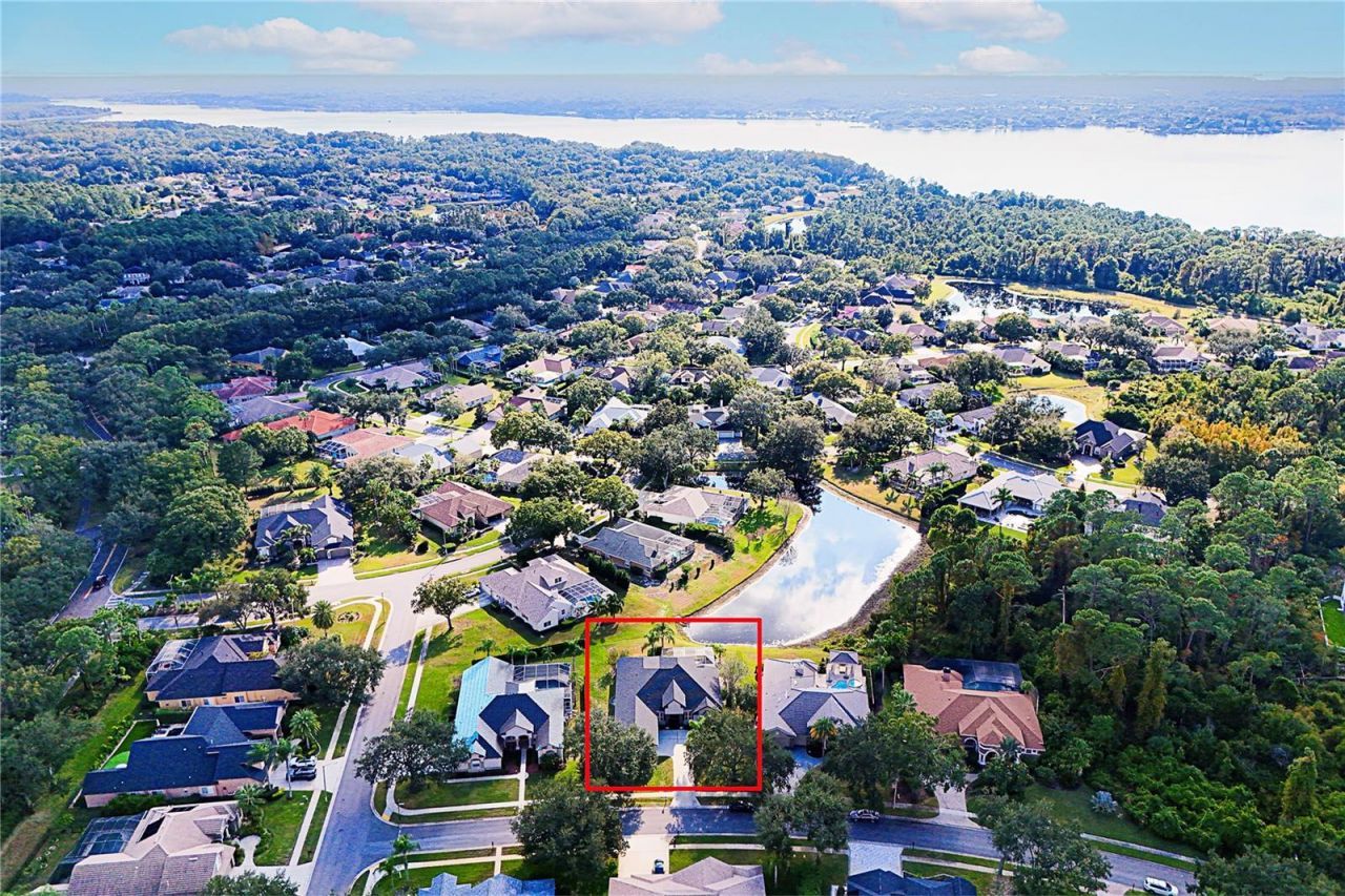 3716 Janus Way, Palm Harbor, FL 34685 Photo