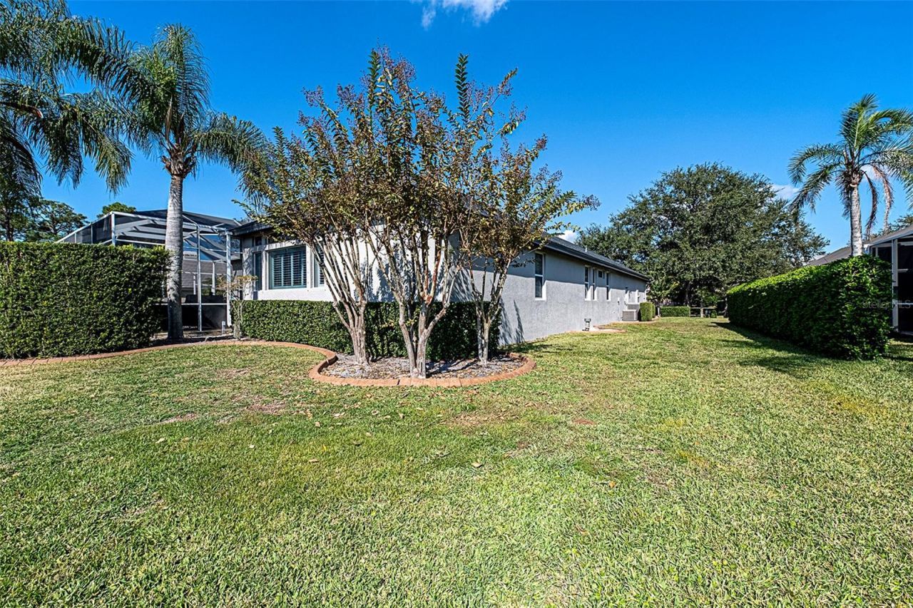 3716 Janus Way, Palm Harbor, FL 34685 Photo