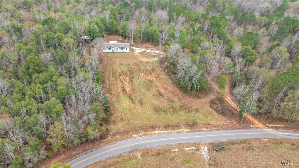 10914 Lagrone Road, Moundville, AL 35474 Main Photo