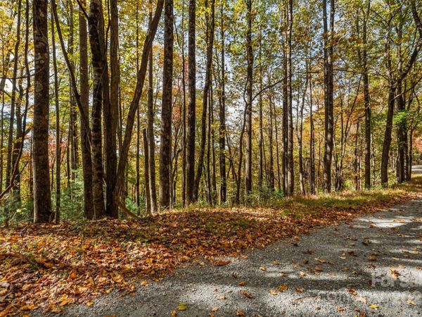 Lot 24 Ben Miller Road , Deep Gap, NC 28618