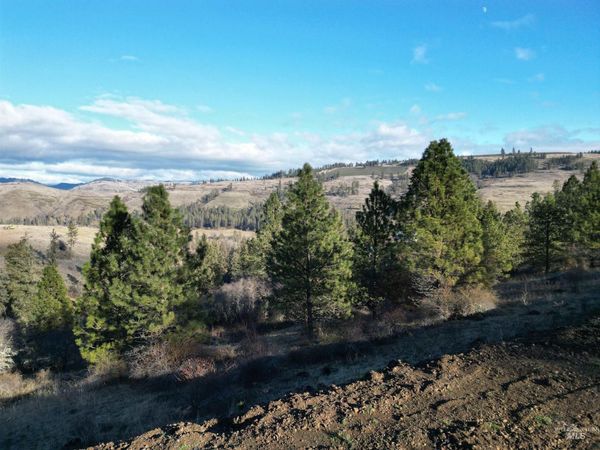 TBD Canyon Road, Kooskia, ID 83539
