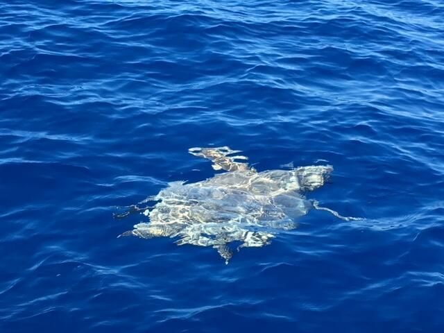 55 Boca Chica Road, Unit 132, Big Coppitt, FL 33040 Photo