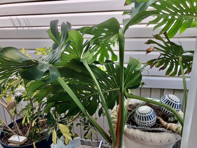 55 Boca Chica Road, Unit 132, Big Coppitt, FL 33040 Photo