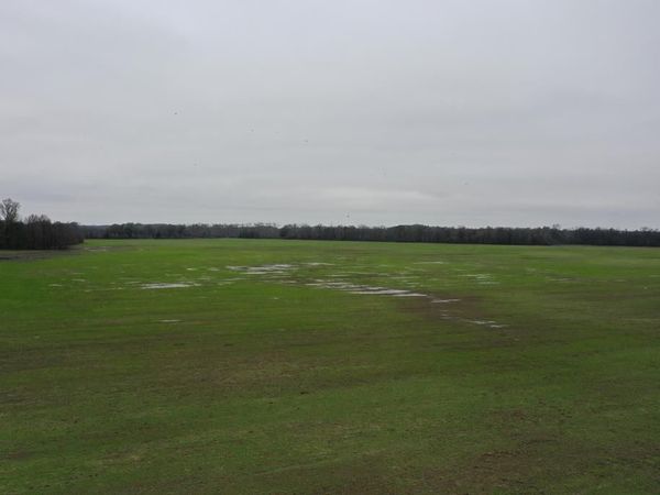 2000 Walnut Lake Road-Dundee, Other, MS 38626