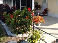 2037 Champion Street Primary Photo