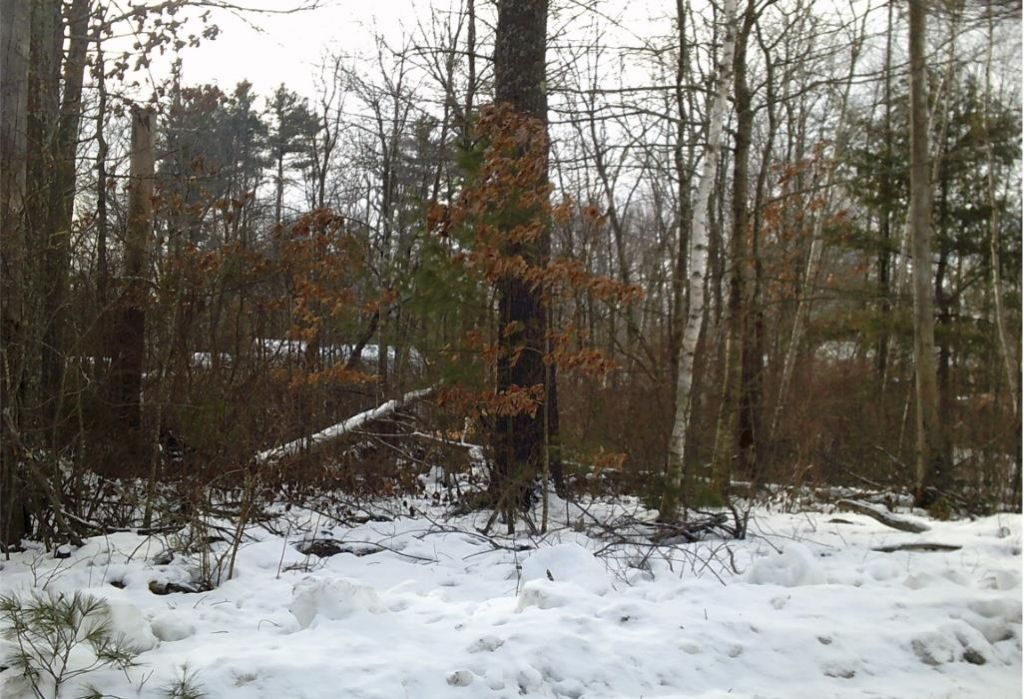 8 Mark Avenue, Derry, NH 03038 Main Photo