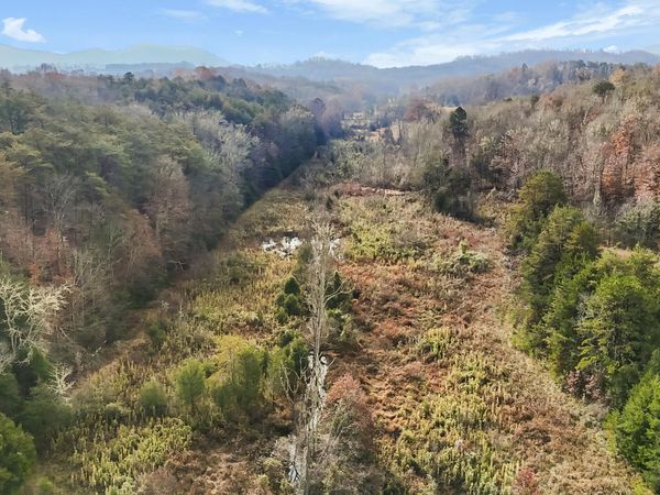 TBD Manis Road, Rogersville, TN 37857