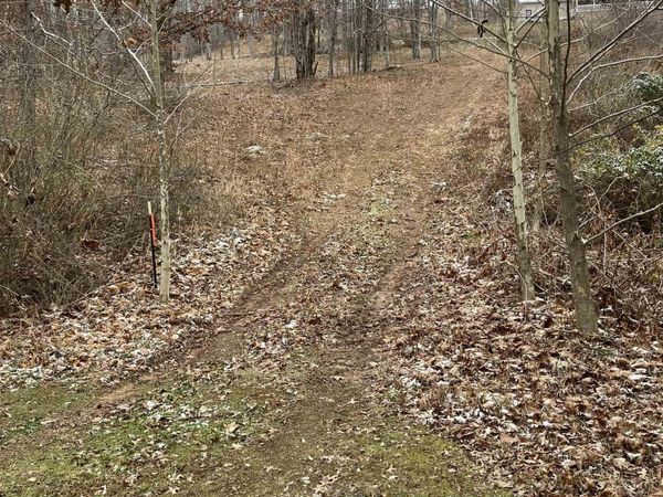 26-82 DOE Lane, Buckhannon, WV 26201