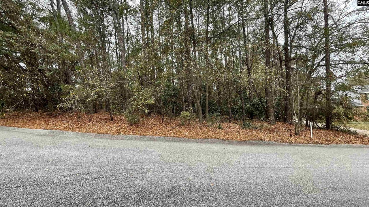 Northlake Road  Photo 5