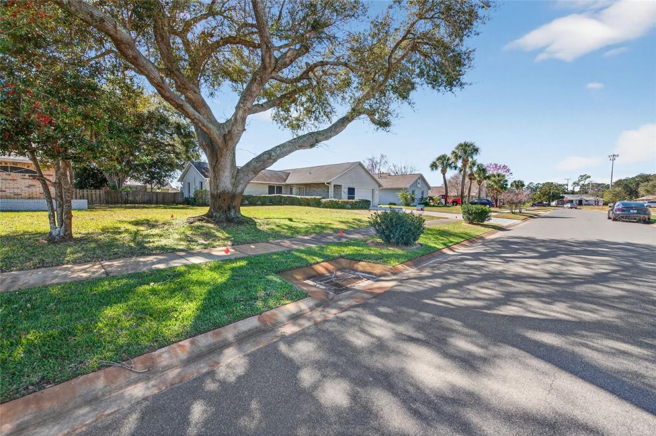 236 Meadow Lake Drive, Edgewater, FL 32141 Photo