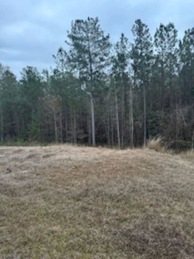 407 Mae Cato Drive, Midway, FL 32343 Photo