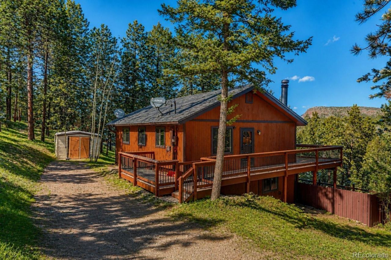 217 Catamount Ridge Road, Bailey, CO 80421 Main Photo